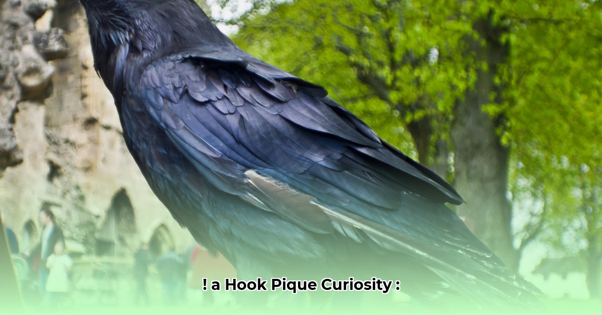 raven-goodwin-net-worth